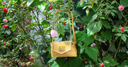 <h2><em>Ripple Craft</em></h2>